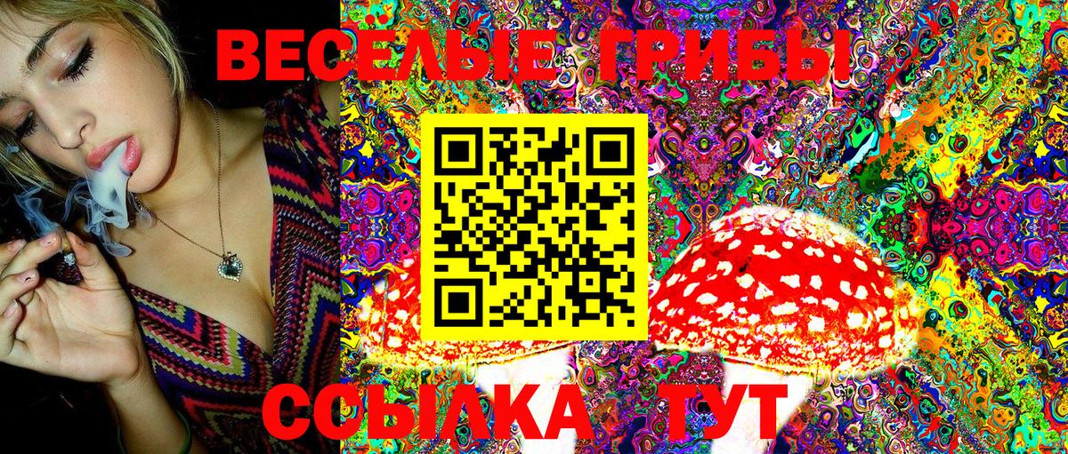 Избербаш  Псилоцибиновые грибы MAGIC MUSHROOMS  Вход с VPN 